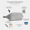 image:imageTravelon AntiTheft Roam XL Belt BagGlacier