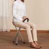 image:imageHandy Cane SeatSilver